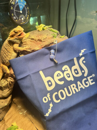 Pet Parade 2023, Beads of Courage