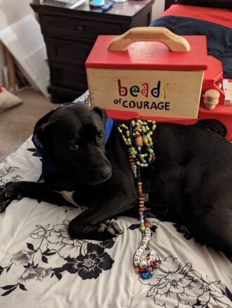 Pet Parade Photo Gallery, Beads of Courage