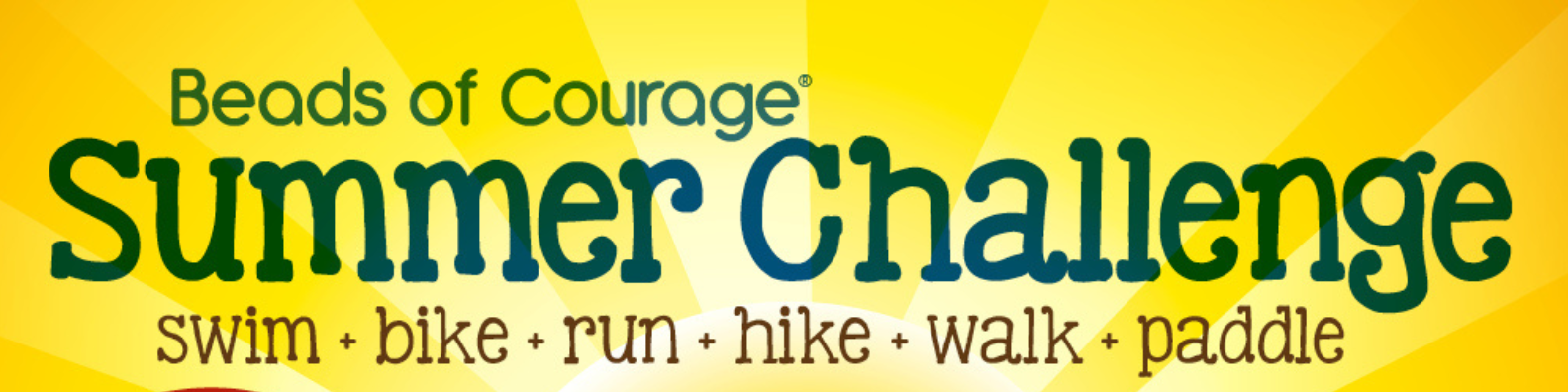 SUmmer Challenge temp banner