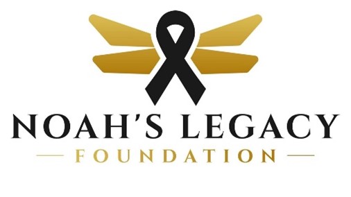 nlf logo 2025