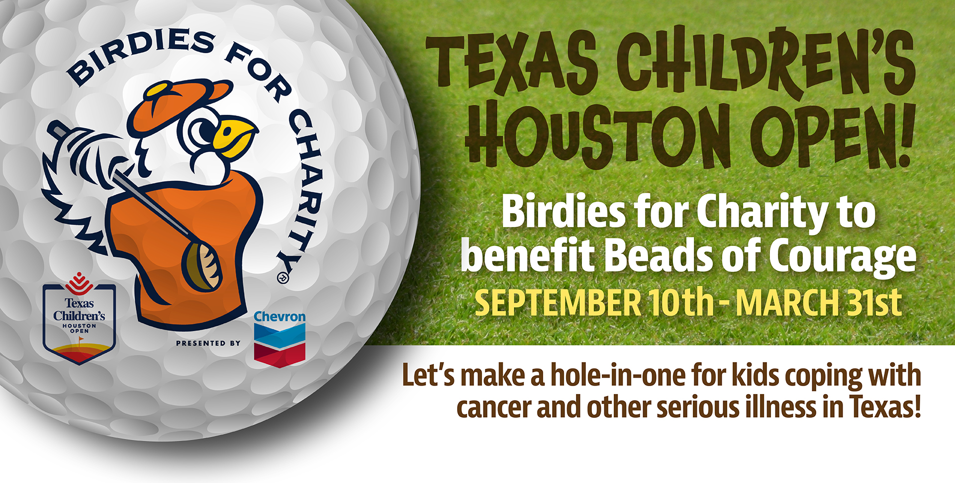 web birdies for charity v2