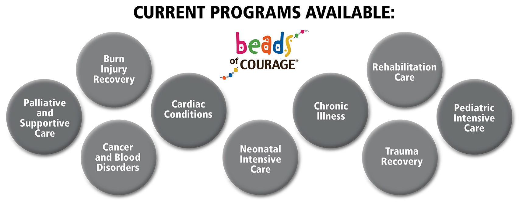 flagship programs