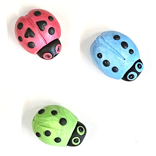 ladybug multicolor 1