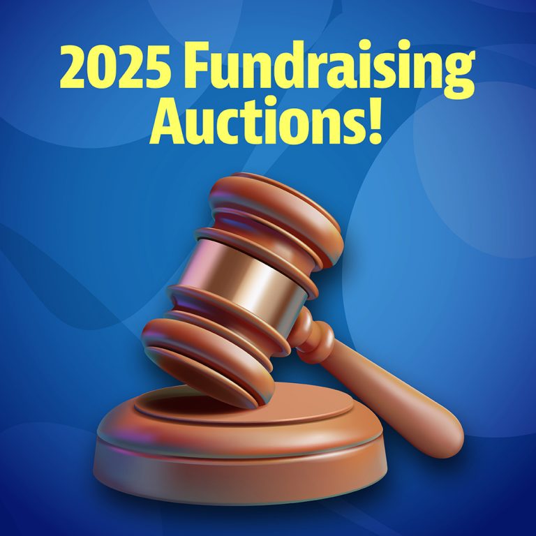 auction box
