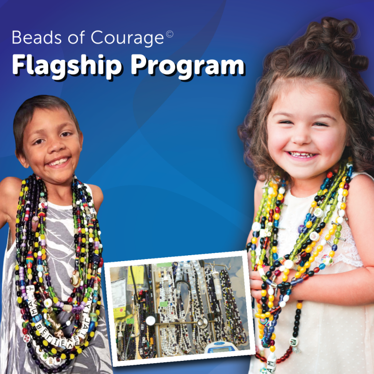 flagship program 3 1